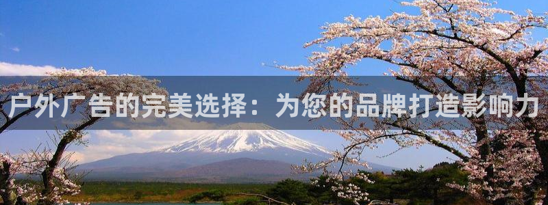 杏宇平台代理怎么样