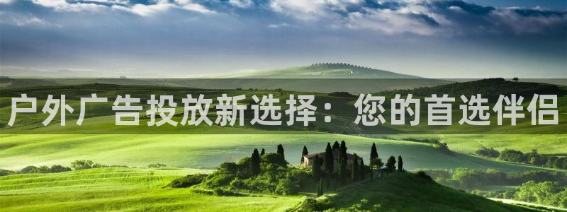 杏宇平台代理多少钱一个月