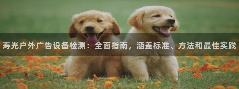 杏宇平台代理多少钱一个月：寿光户外广告设