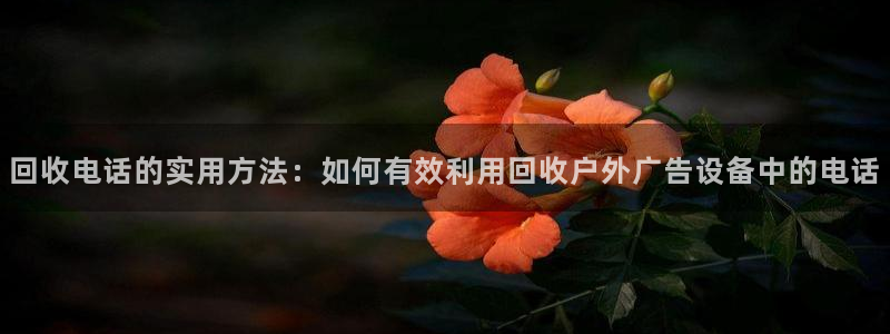 杏宇平台怎么样赚钱：回收电话的实用方法：