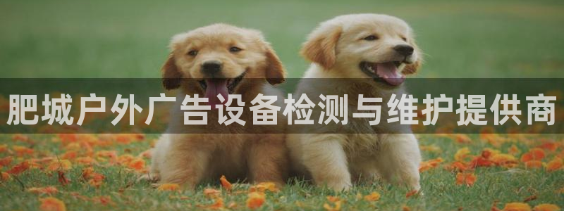 杏宇平台登陆：肥城户外广告设备检测与维护提供商